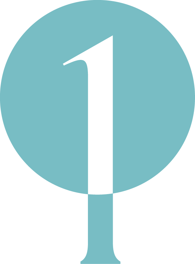 ICONS-ERP-01
